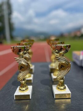 OŠ 27. julij - organizatorica Področnega tekmovanja OŠPP   (7)
